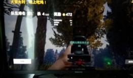 鹏哥爆料视频,精彩瞬间与幕后故事大公开